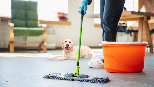 pet-safe cleaning