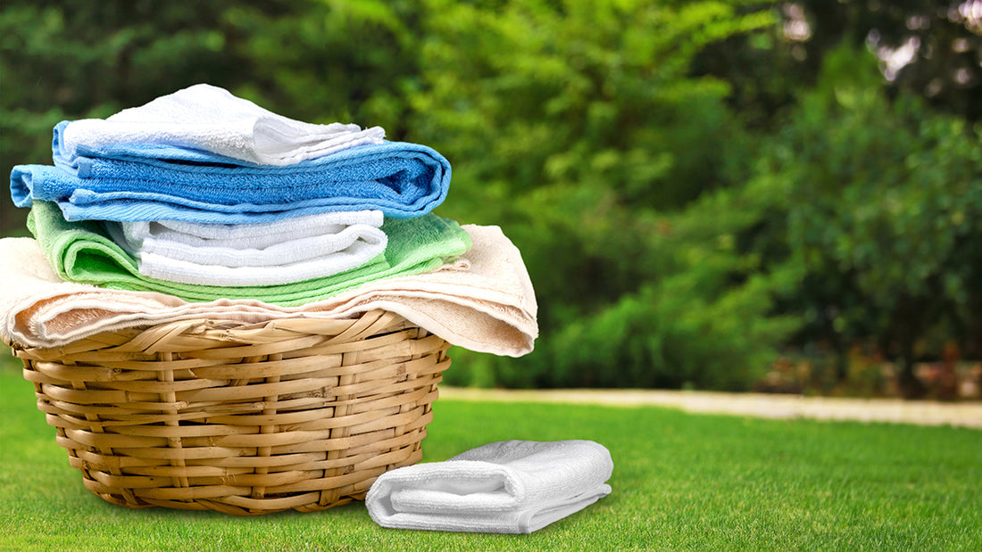 plant based laundry detergents