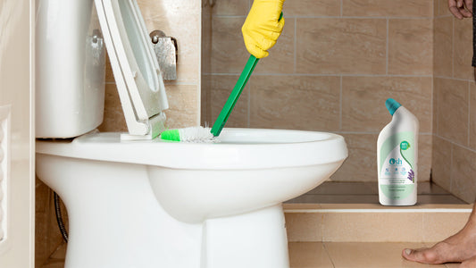 Decoding Toilet Cleaners: A Tale of Tradition and Osh Plant-Based Solutions