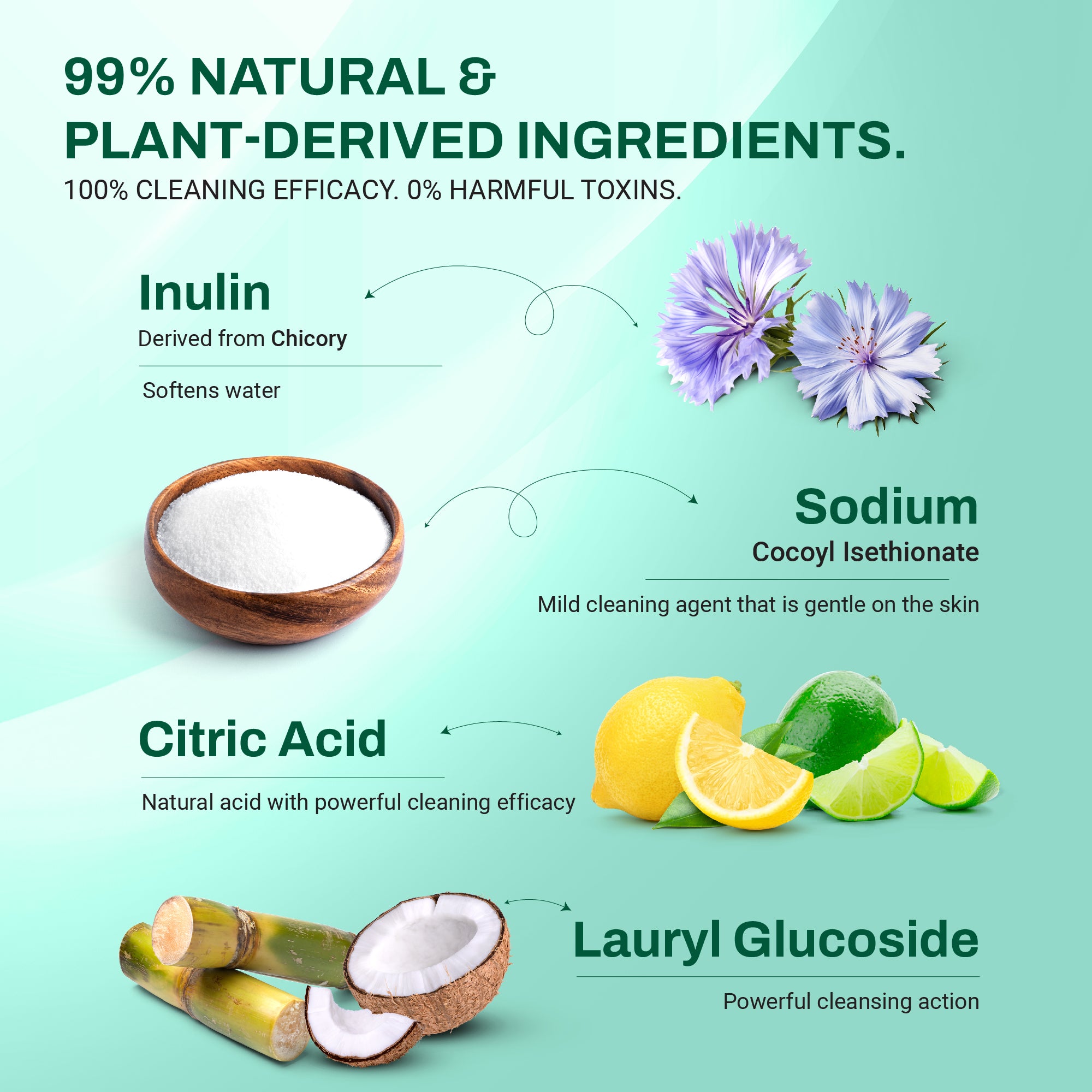 Natural Dishwashing Liquid