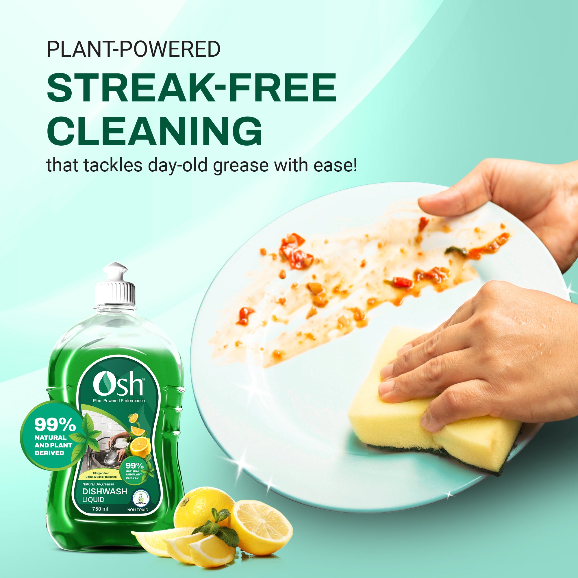 Natural Dishwashing Liquid