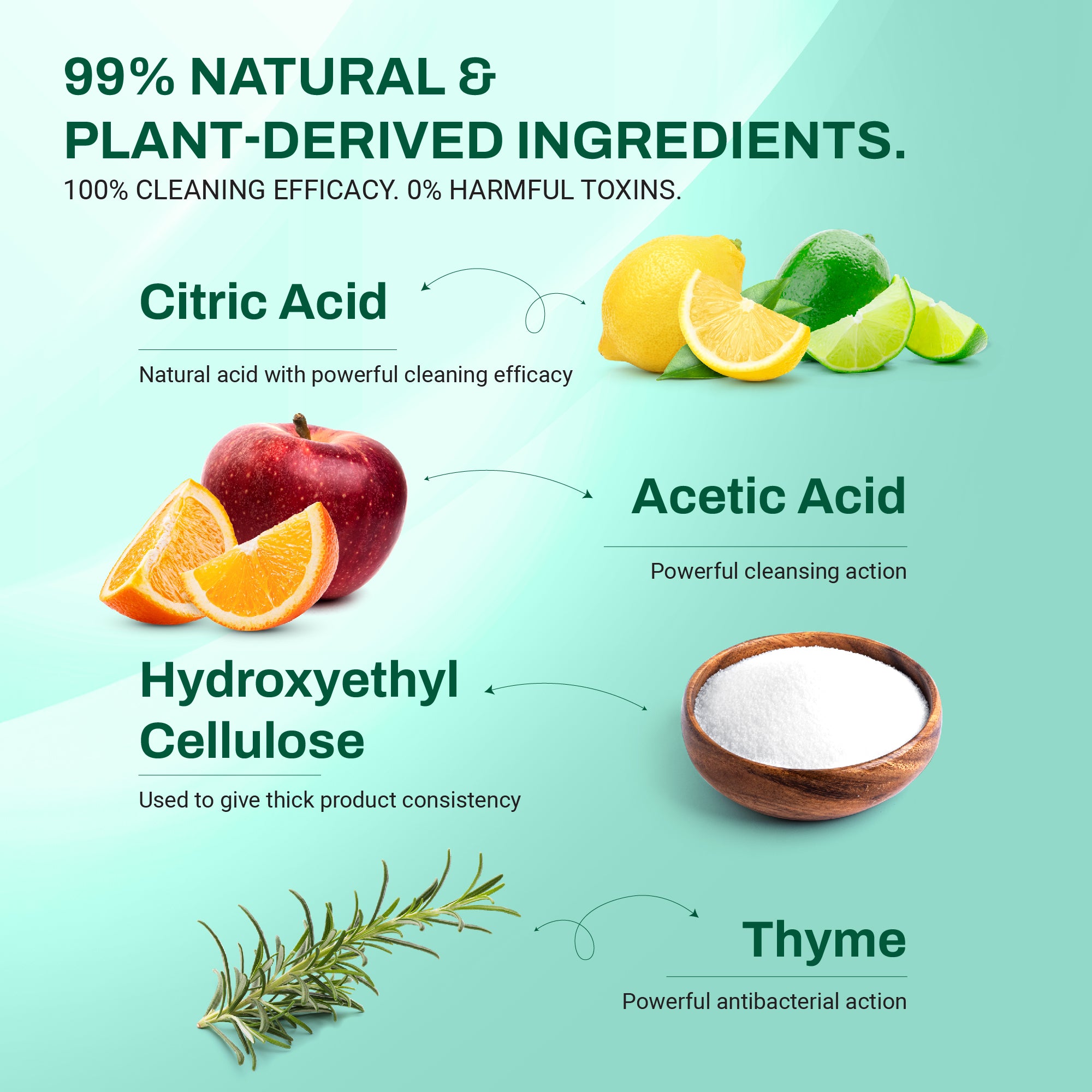 Natural Toilet Cleaner