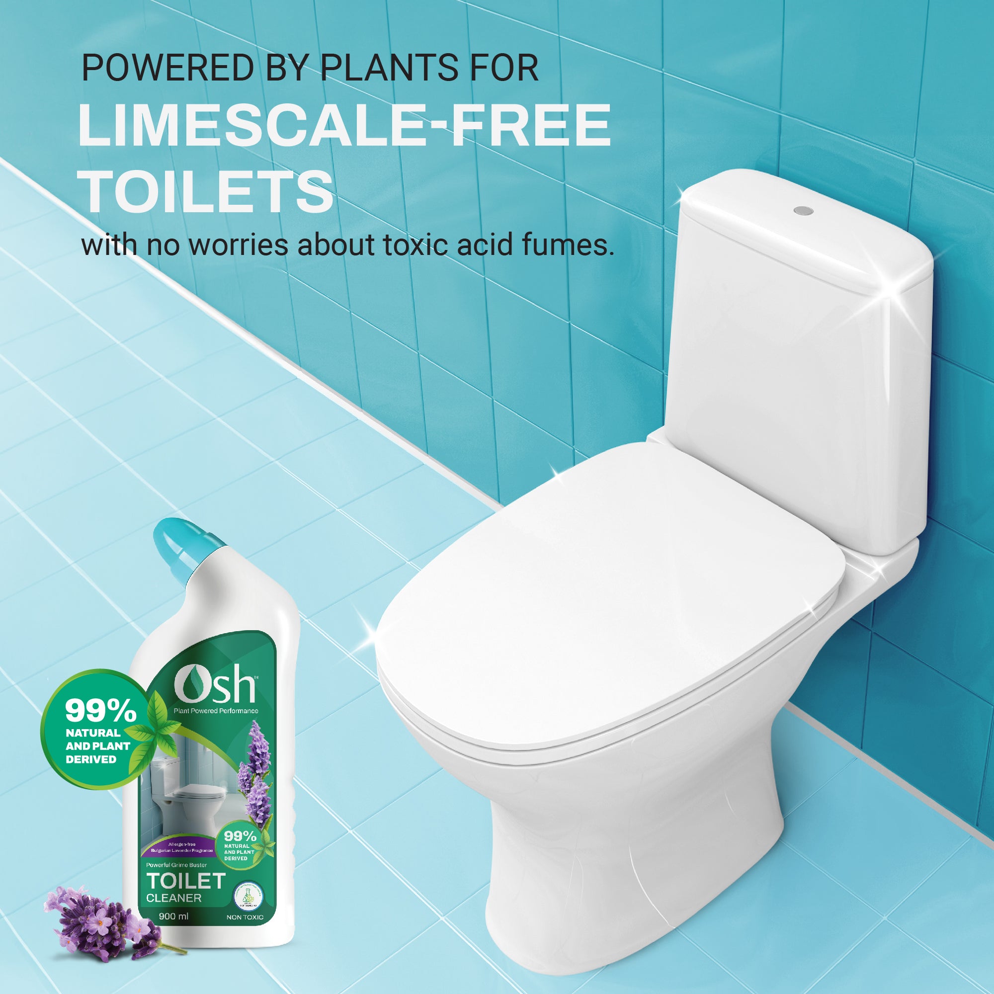 Natural Toilet Cleaner