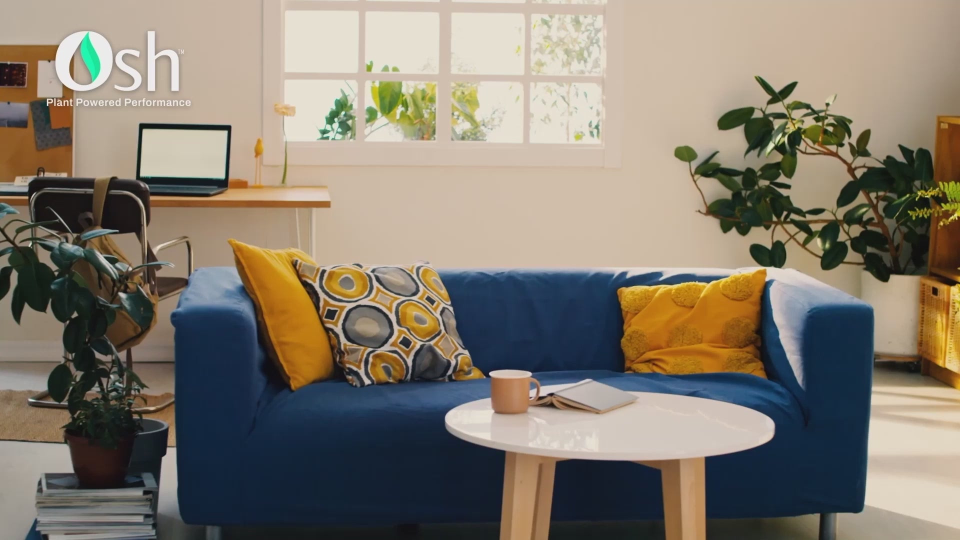 Natural Floor Cleaner